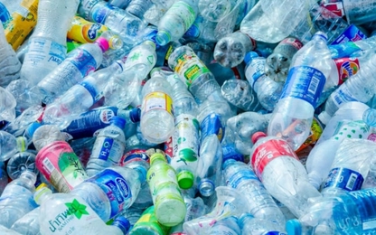 Nhật Bản cắt giảm đồ nhựa