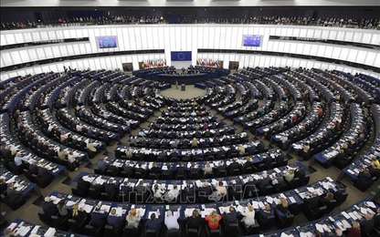Anh 'bất đắc dĩ' chuẩn bị cho bầu cử nghị viện châu Âu