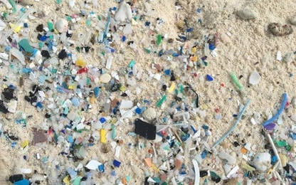 Hòn đảo chỉ 600 người, bờ biển có 400 triệu mảnh rác nhựa