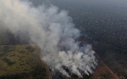 1/5 'lá phổi' của hành tinh đang bốc cháy ở Amazon
