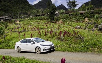 Toyota Việt Nam ưu đãi đến 40 triệu đồng cho khách mua Corolla Altis
