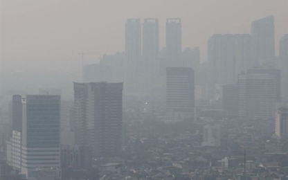 Cơn nghiện than ở châu Á là nguyên nhân gây ra ô nhiễm không khí