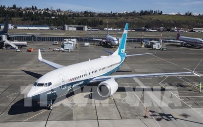 Boeing 737 MAX được phép hoạt động trở lại vào tháng 1/2020