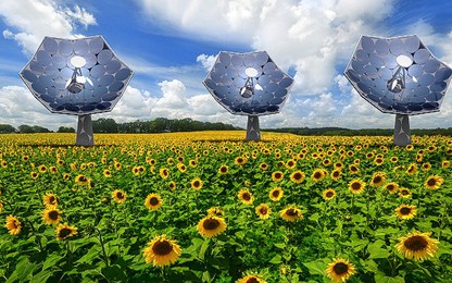 Độc đáo hệ thống SX điện mặt trời lấy ý tưởng từ bông hoa hướng dương