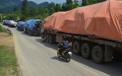 Kiên quyết xử lý đoàn xe chở gỗ quá tải tại Quảng Bình