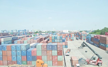 Hàng nghìn container tồn đọng tại cảng Sài Gòn: Cần xử lý nhanh, tránh lãng phí