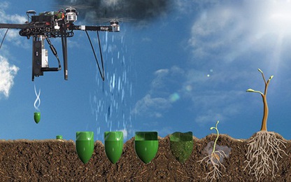 Cựu kỹ sư NASA muốn dùng đội máy bay drone để trồng rừng tự động