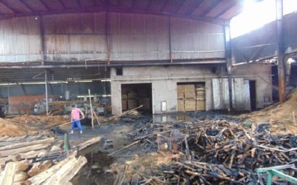 “Bà hỏa” thăm xưởng, hàng nghìn m2 gỗ bị thiêu rụi
