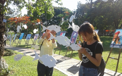 Thừa Thiên Huế: Triển lãm tranh cổ động về môi trường, biển đảo
