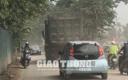 Hà Nội: Tận thấy xe chở "có ngọn" rồng rắn trên đường 70