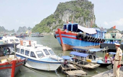 Huyện Vân Đồn (Quảng Ninh): ATGT đường thủy nội địa giữ đà ổn định