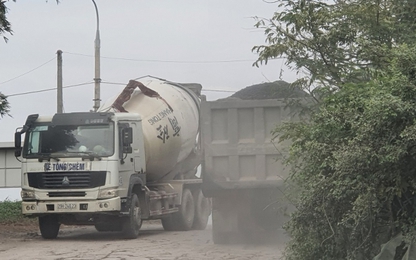 Hà Nội: Xe tải nặng 'náo loạn' đê hữu Hồng