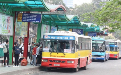 Xe buýt Hà Nội hoạt động 100% công suất từ ngày 8/2