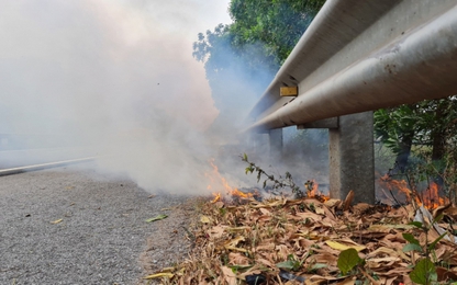 Vì sao cây cối cháy ngùn ngụt dọc hành lang cao tốc Cầu Giẽ-Ninh Bình?