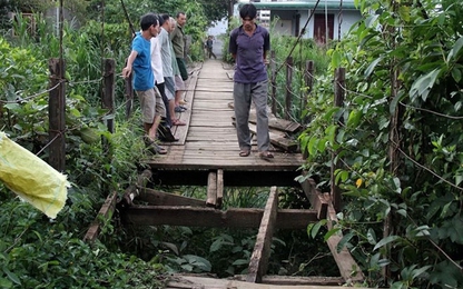 Lâm Đồng: Cầu treo do ông già Đan Mạch xây sắp sập