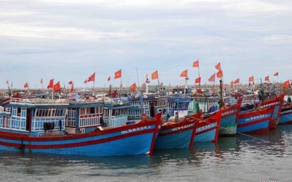 Nghiên cứu cấp phép cho thuê tàu trần vào Việt Nam