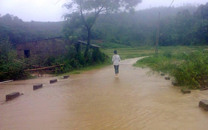 Nghệ An, Hà Tĩnh: Thiệt hại nặng nề về người, tài sản do mưa lũ