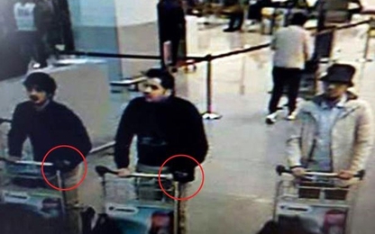 Hai nghi can trực tiếp đánh bom khủng bố ở Bỉ là anh em