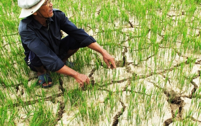 Lào xả nước giúp Việt Nam đối phó hạn hán, xâm nhập mặn