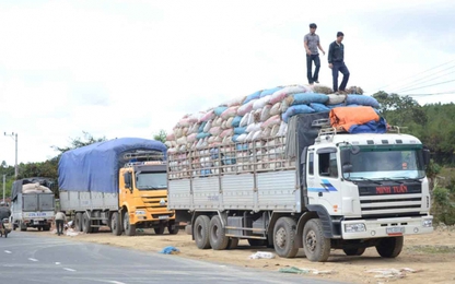 Phạt đoàn xe quá tải "khủng" hơn 167 triệu đồng