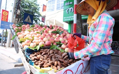 TP HCM bắt đầu gom người bán hàng rong