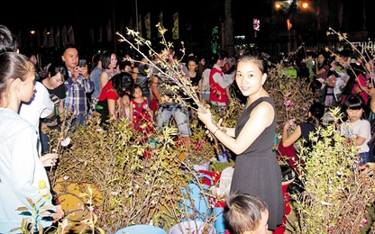 Đồng Nai: Dân tranh nhau lấy hoa anh đào mặc ban tổ chức van xin