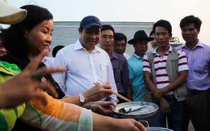 Đà Nẵng hỗ trợ ngư dân hơn 2 tỷ sau vụ cá chết