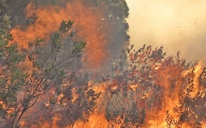 Hơn 10 giờ cứu cháy rừng ở Nam Đàn