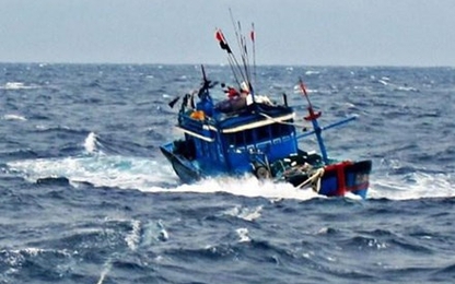 Quảng Ngãi: Nỗ lực lượng tìm kiếm 4 ngư dân mất tích trên biển