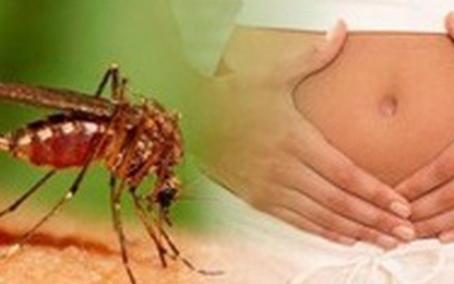 TP.HCM có 21 ca nhiễm virus Zika, trong đó có 4 thai phụ