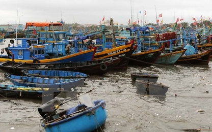 Chìm tàu cá tại Bình Thuận khiến một thuyền viên tử vong