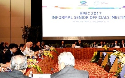Khai mạc Hội nghị không chính thức Quan chức cao cấp APEC