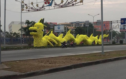 Cư dân mạng xôn xao vì con rồng kỳ lạ trên đường phố Hải Phòng