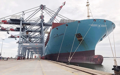Cảng Cái Mép đón siêu tàu container "khủng" nhất thế giới