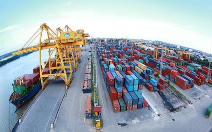 Phó Thủ tướng yêu cầu rà soát thu phí hạ tầng cảng Hải Phòng