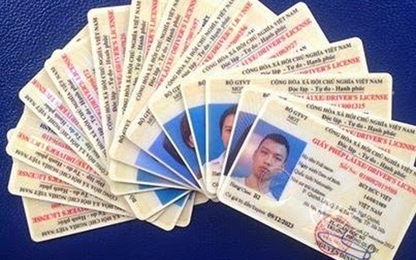 TP.HCM phát hiện 164 giấy phép lái xe giả