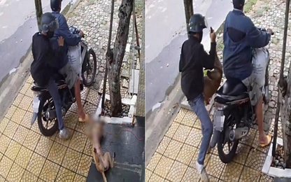 Clip gây phẫn nộ: 2 thanh niên đi xe máy dùng vật nhọn trộm chó