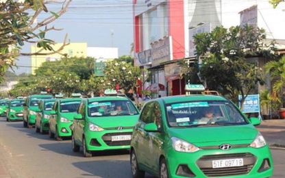 Mai Linh sắp hợp nhất 3 công ty taxi vốn nghìn tỷ
