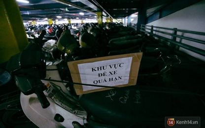 Hàng trăm xe máy không ai nhận,nhà xe Tân Sơn Nhất thiệt hại nửa tỉ