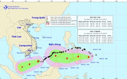 Thêm bão mới thành hình ở Philippines, bão 15 suy yếu