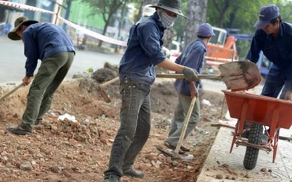 Cấm đào đường trong 15 ngày tết Nguyên đán