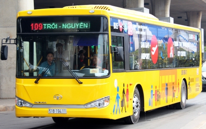 Hai tuyến buýt miễn phí vào sân bay Tân Sơn Nhất dịp Tết