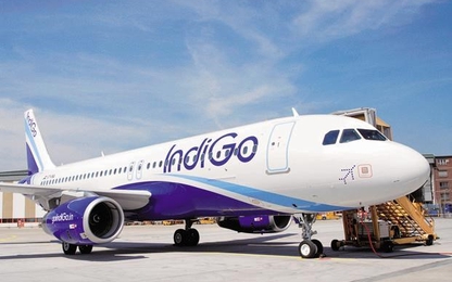 Hãng hàng không lớn nhất Ấn Độ muốn mở đường bay tới Việt Nam