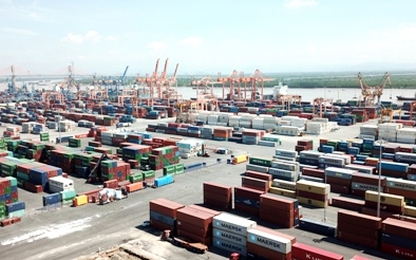 Hàng nghìn container phế liệu tồn tại cảng Hải Phòng