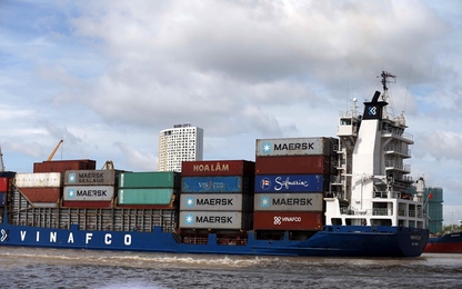 Hàng container qua cảng biển tăng 30 lần trong 20 năm qua