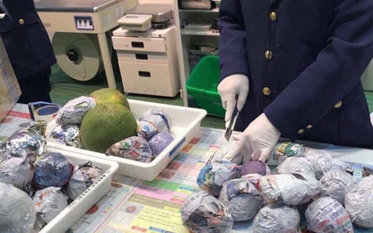 Nhật Bản cấm du học sinh, khách du lịch mang theo đồ ăn nhập cảnh