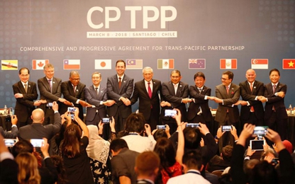 Việt Nam sắp trình phê duyệt Hiệp định CPTPP