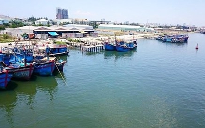 Bến cảng Thọ Quang sẽ dừng hoạt động xây dựng tuyến luồng