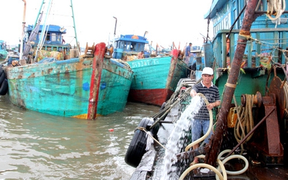 Hơn nghìn tàu cá ở Bà Rịa - Vũng Tàu nằm bờ vì thua lỗ