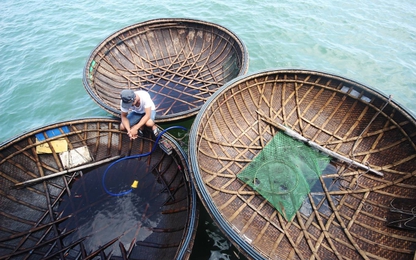 Bí quyết nghề đan thuyền thúng câu mực ở Quảng Nam
